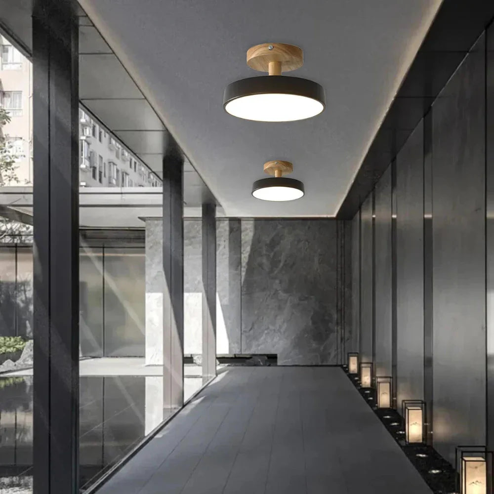 Round Iron LED Ceiling Light