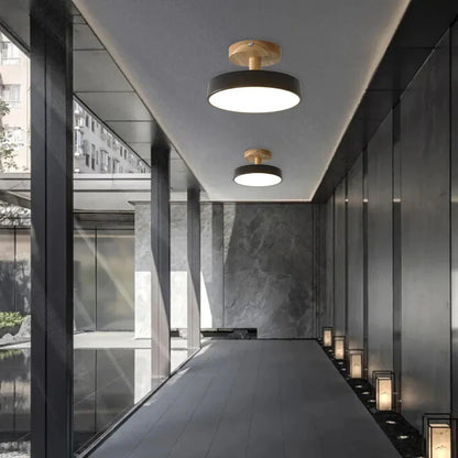 Round Iron LED Ceiling Light