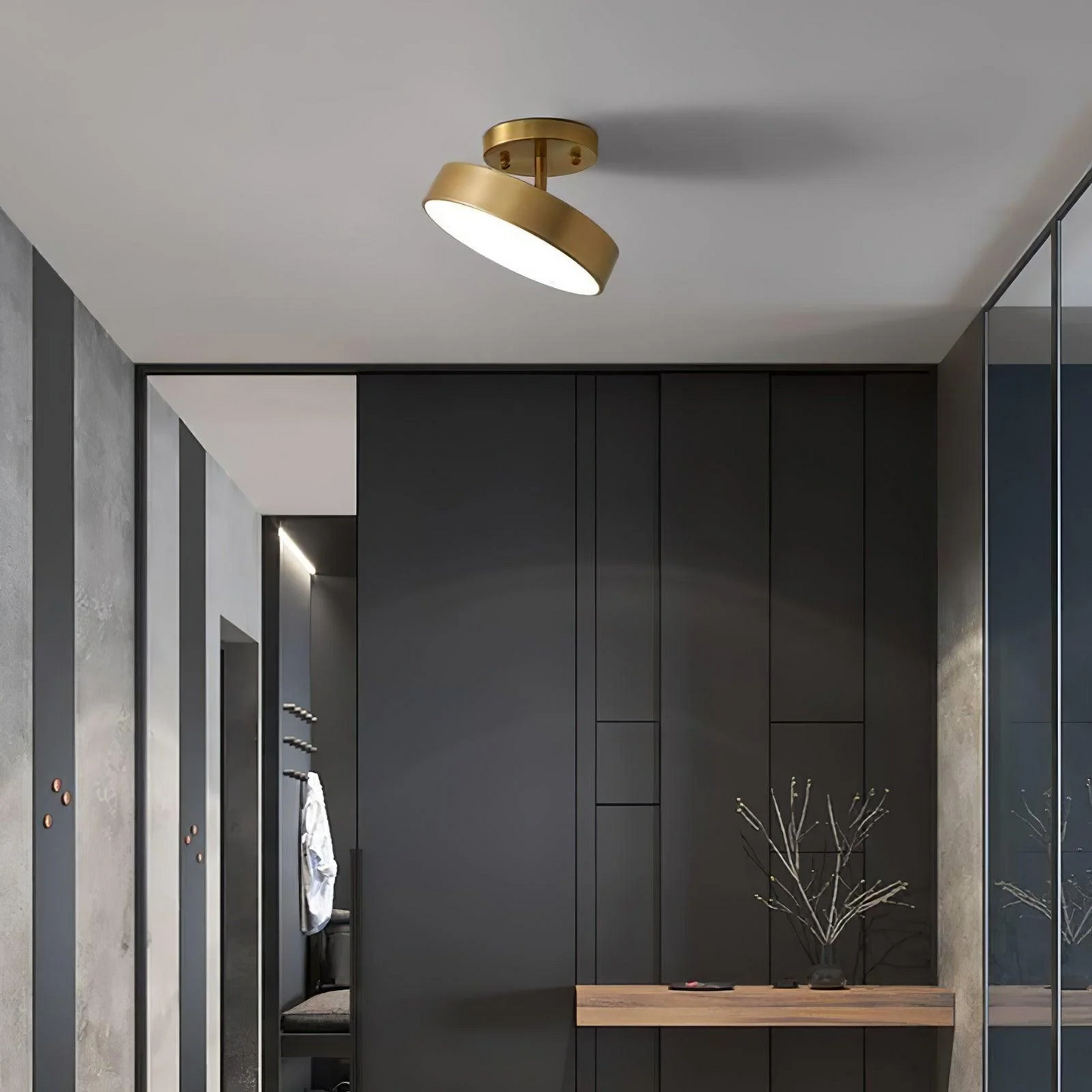 Adjustable LED Ceiling Light