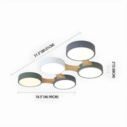 Contemporary Ceiling Light for Bedroom