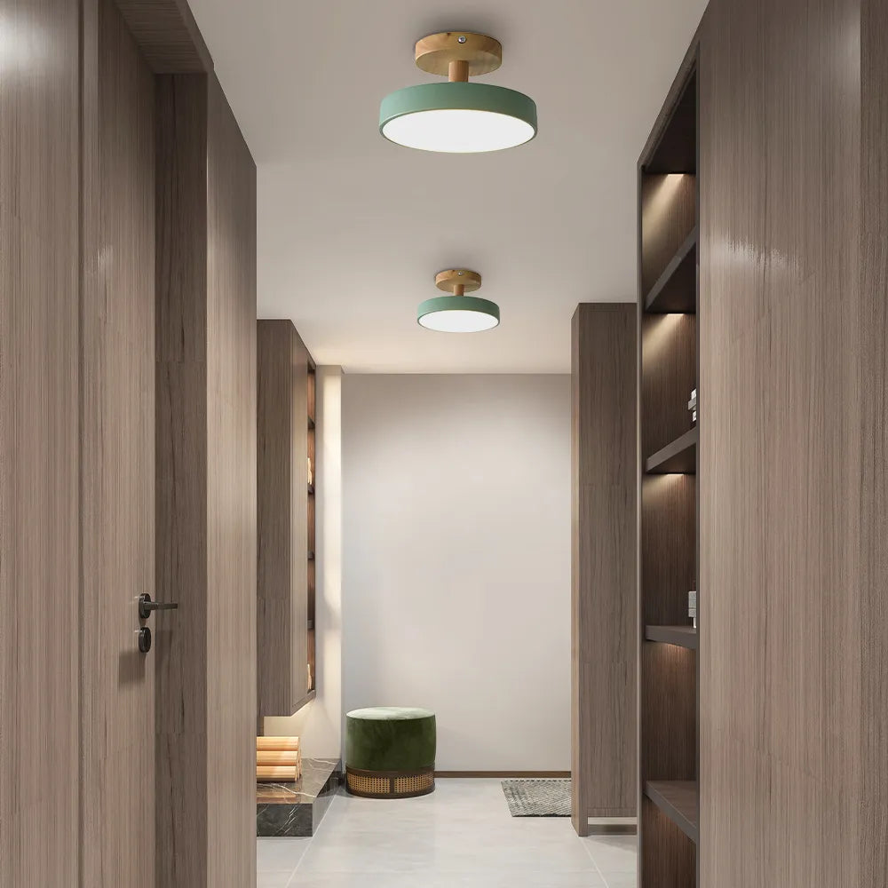 Round Iron LED Ceiling Light