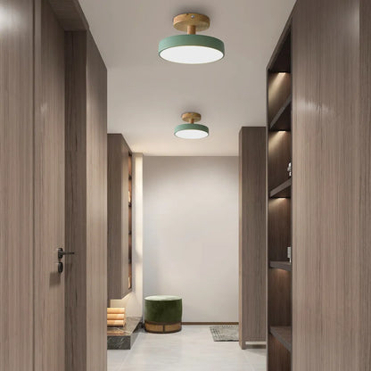 Round Iron LED Ceiling Light