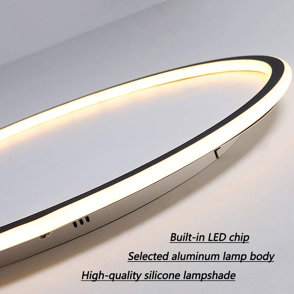 Contemporary Disc Ceiling Lamp
