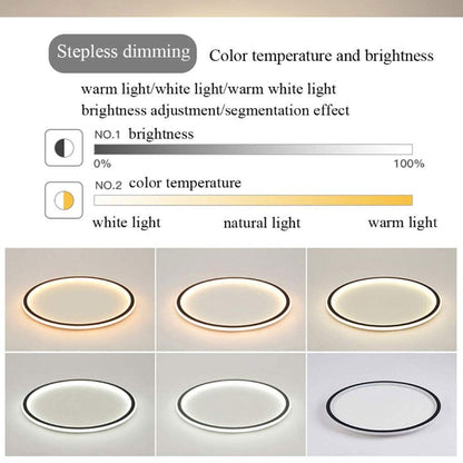 Contemporary Disc Ceiling Lamp