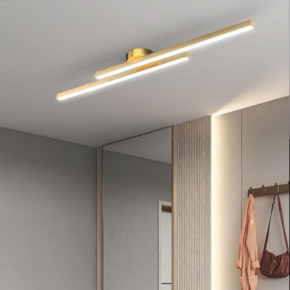 Elongated Aluminum LED Ceiling Light