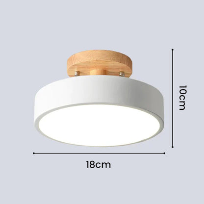 Colorful LED Ceiling Lamp with Modern Design