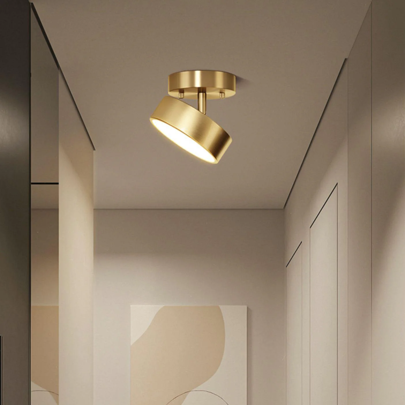 Adjustable LED Ceiling Light