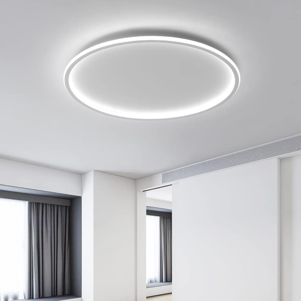 Contemporary Disc Ceiling Lamp