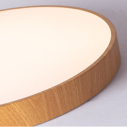 Iron Frame Ceiling Light