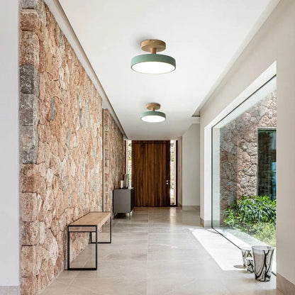 Round Iron LED Ceiling Light