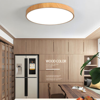 Iron Frame Ceiling Light