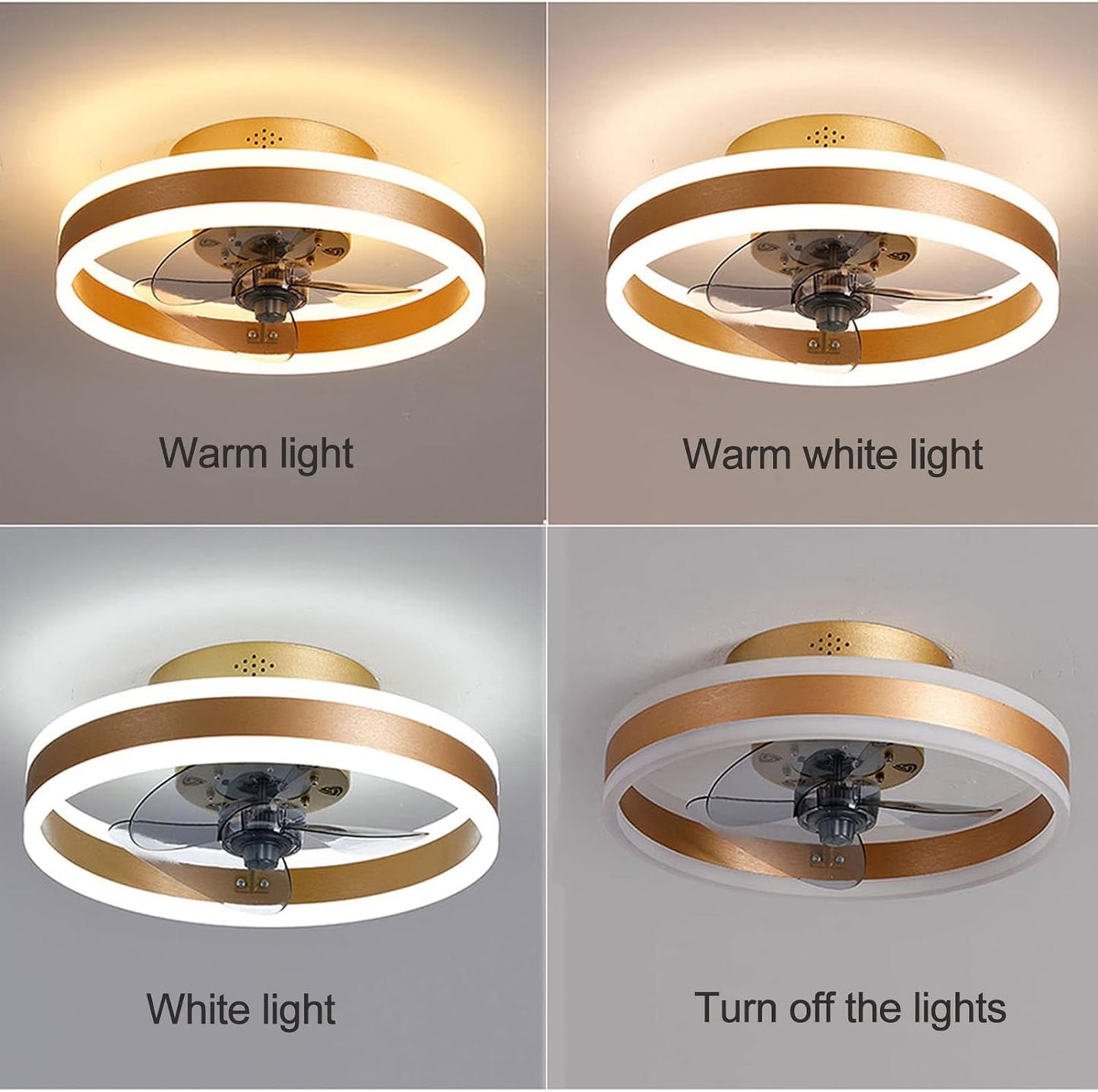 Flush Mount Ceiling Fan with LED