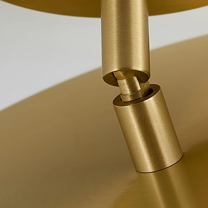 Adjustable LED Ceiling Light