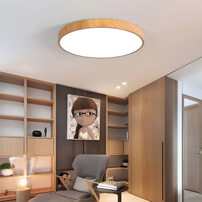 Iron Frame Ceiling Light