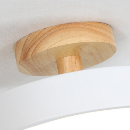 Colorful LED Ceiling Lamp with Modern Design