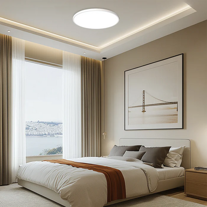 Modern LED Ceiling Light