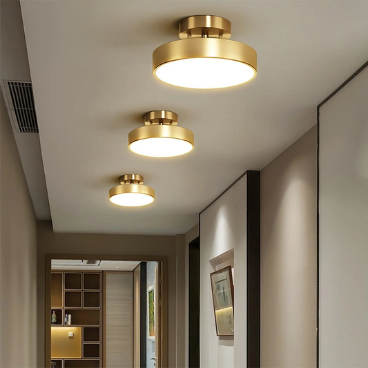 Adjustable LED Ceiling Light