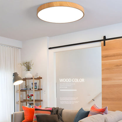 Iron Frame Ceiling Light