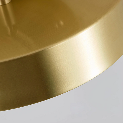 Adjustable LED Ceiling Light