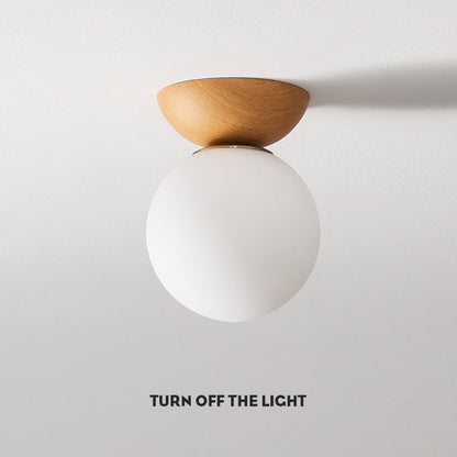 Minimal Hall Ceiling Lamp