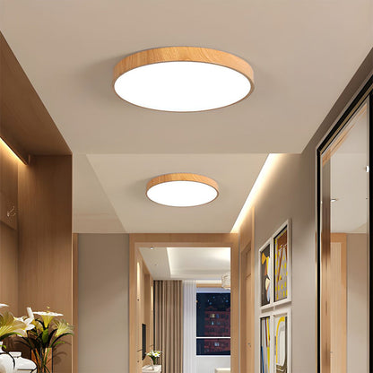 Iron Frame Ceiling Light