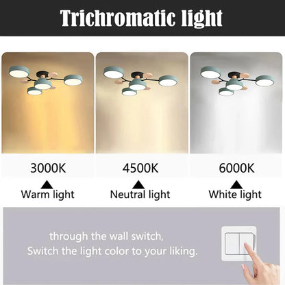 Modern Round LED Ceiling Chandelier