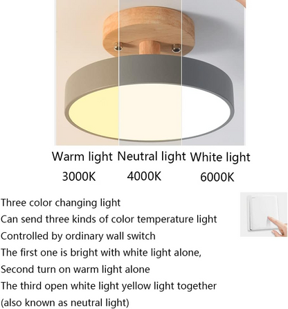 Colorful LED Ceiling Lamp with Modern Design