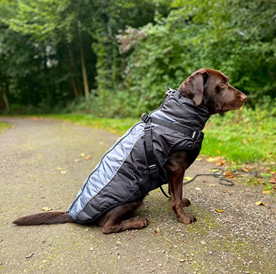 Weerbestendige Hondjacke voor Alle Seizoenen