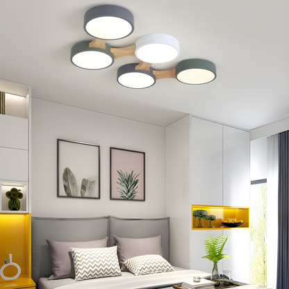 Contemporary Ceiling Light for Bedroom