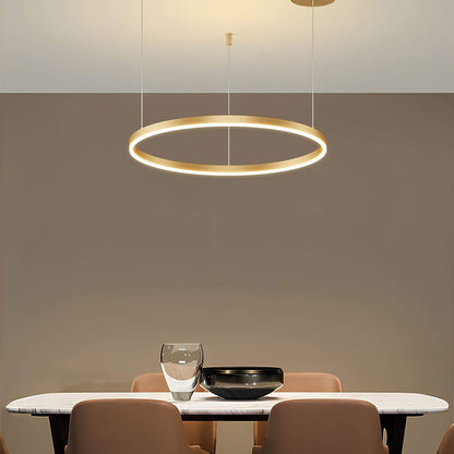 CircaLuxe – LED Ring-Deckenleuchter-Aster Selection