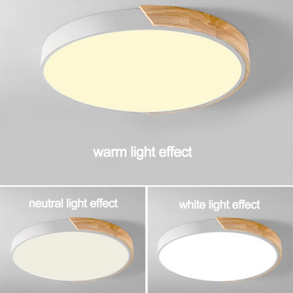 Colorful Round LED Ceiling Light