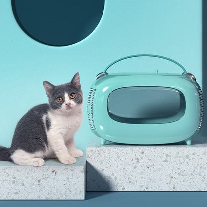 Comfortabele Kattenreistas – Uw Stijlvolle Reisgenoot