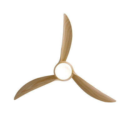 Traditional LED Ceiling Fan Light