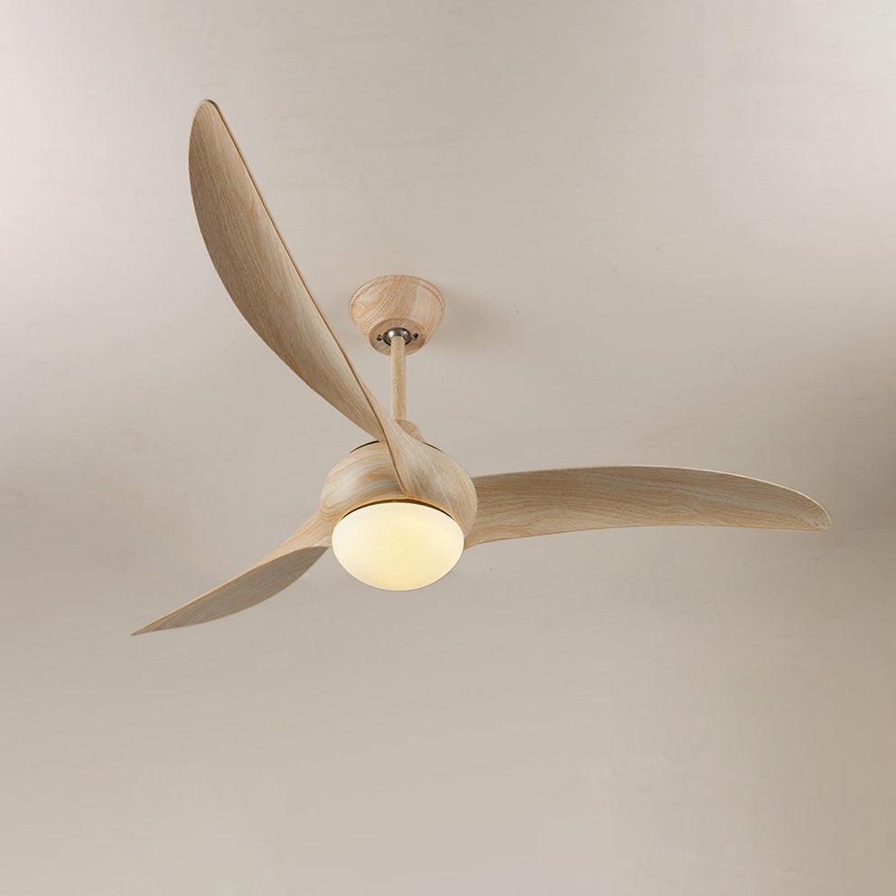 Traditional LED Ceiling Fan Light