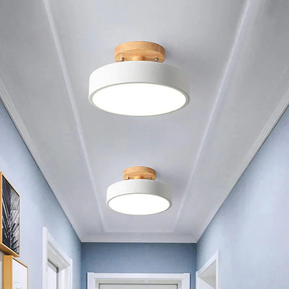 LED Ceiling Light
