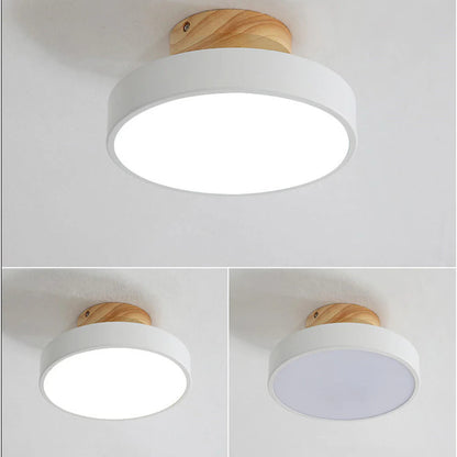 LED Ceiling Light