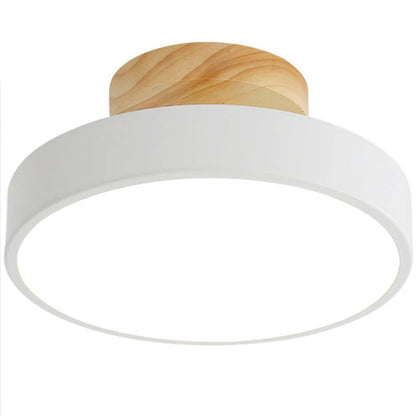 LED Ceiling Light