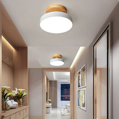 LED Ceiling Light