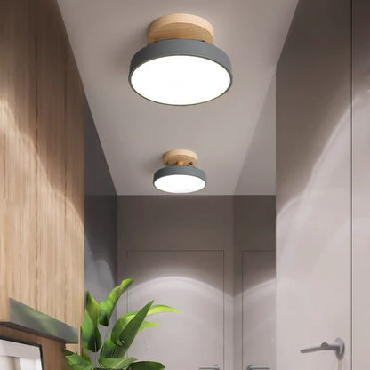 Colorful LED Ceiling Lamp with Modern Design