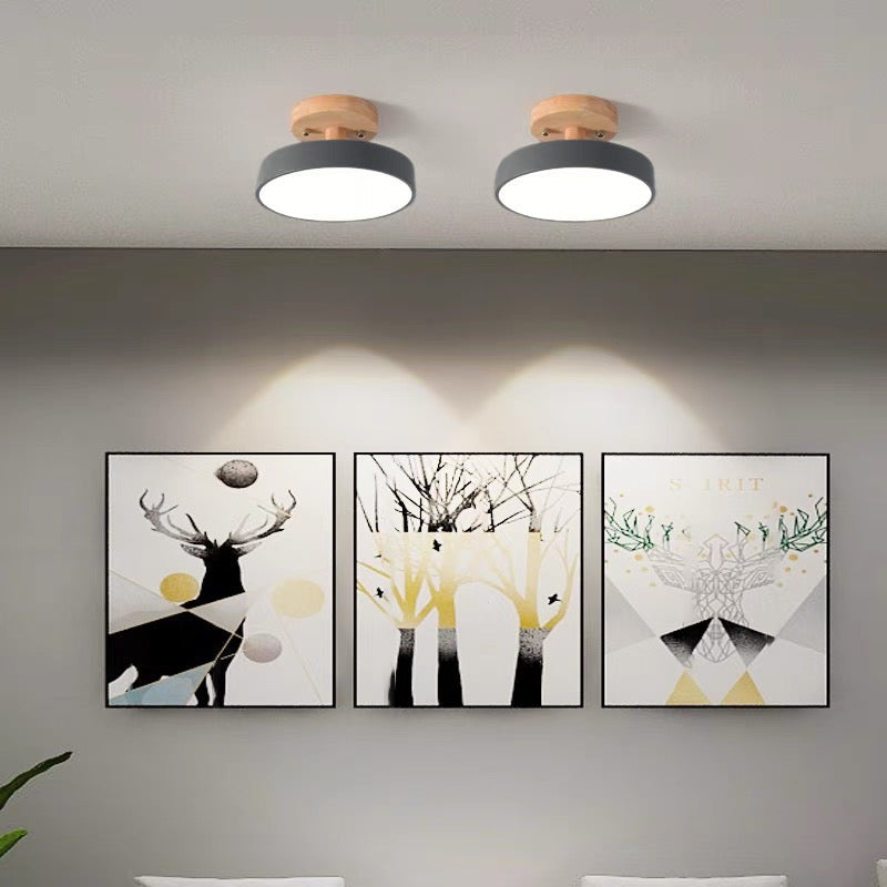 Colorful LED Ceiling Lamp with Modern Design