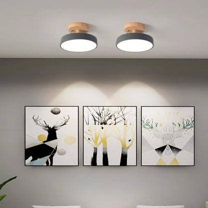 Colorful LED Ceiling Lamp with Modern Design