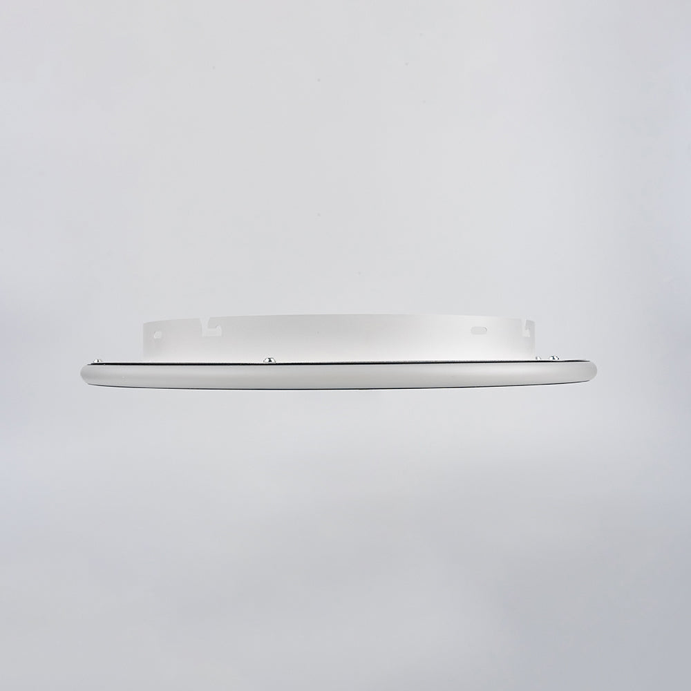 Contemporary Disc Ceiling Lamp