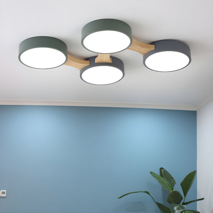 Contemporary Ceiling Light for Bedroom