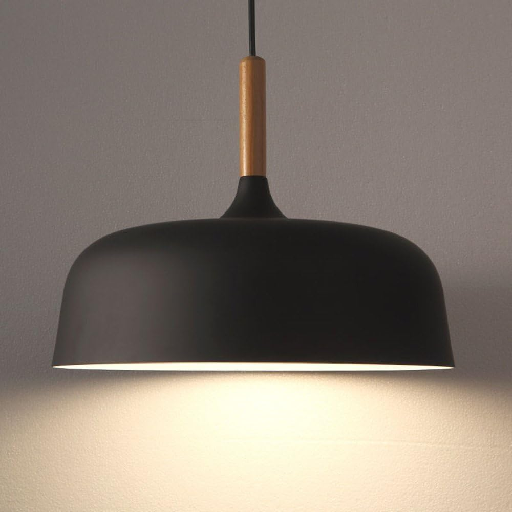 Vibrant Dome Pendant Light