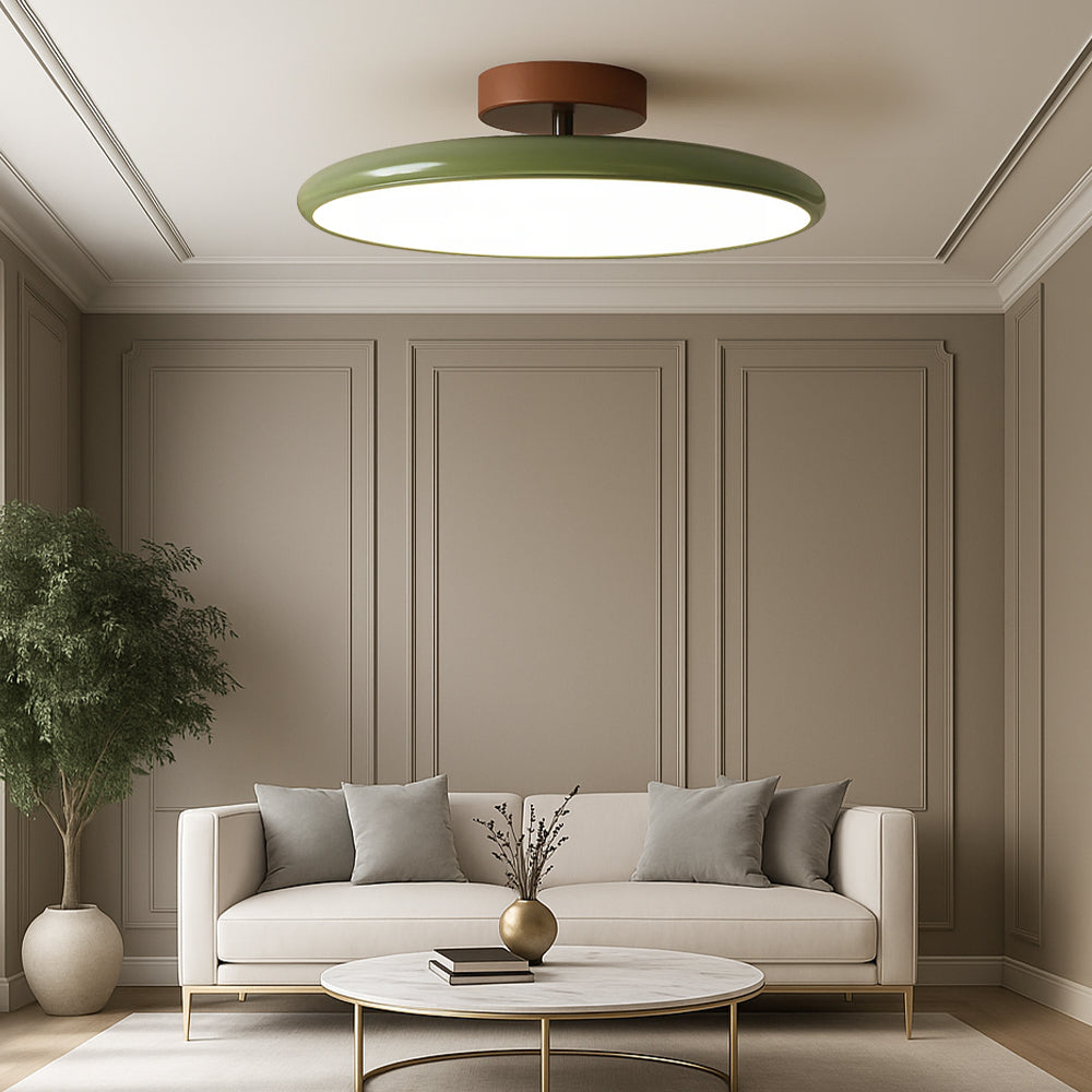 Adjustable Modern Ceiling Light