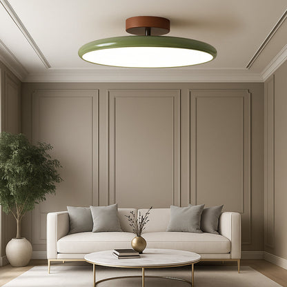 Adjustable Modern Ceiling Light