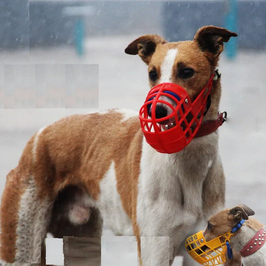 Veilig Ademend Hondenmasker