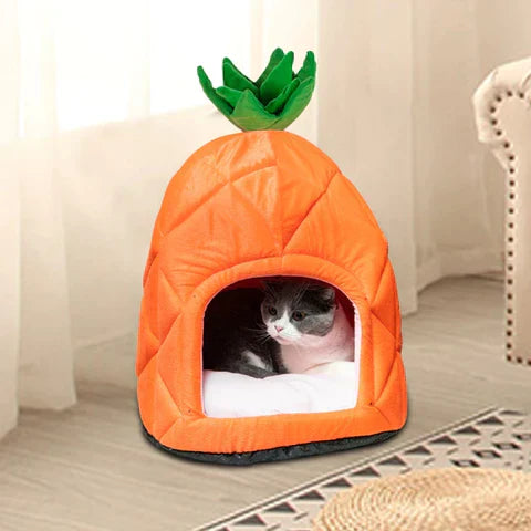 KattenKnusHuis – Gezellig Verblijf in Ananas-Design