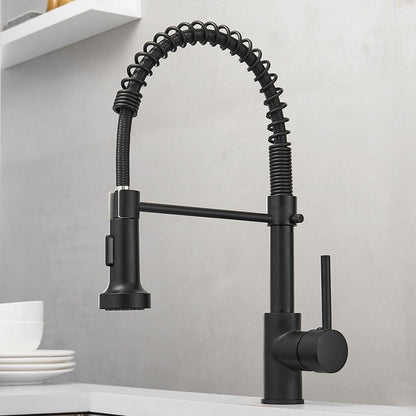 Modern Kitchen Faucet with Pull-Down Spring Sprayer