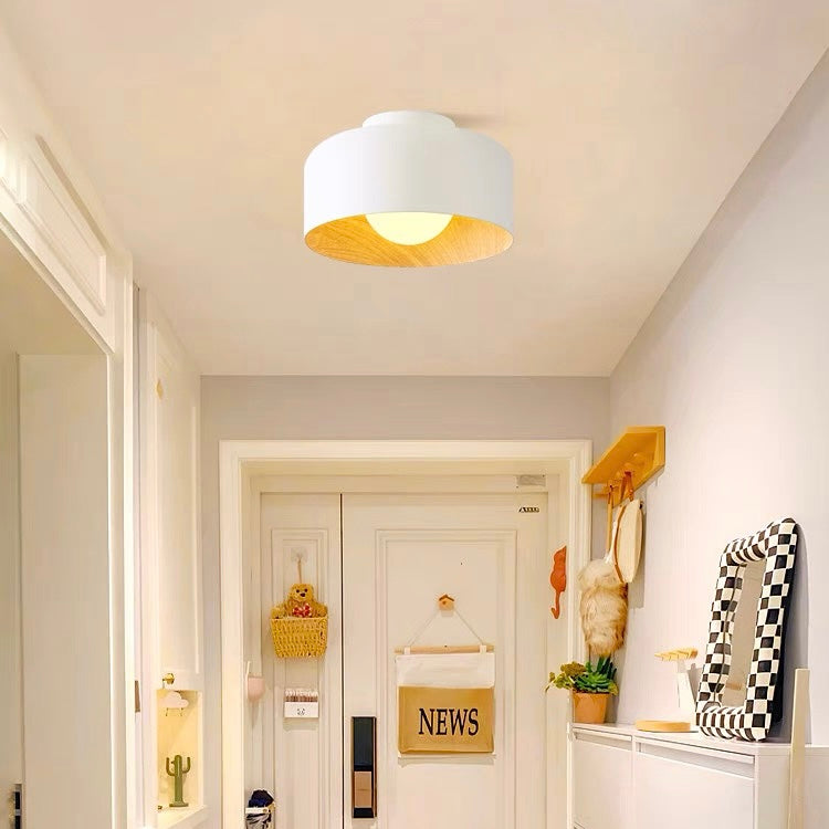 Sleek Metal Dome Light